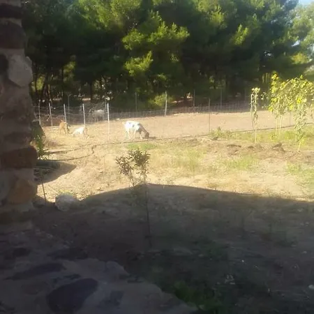 Casa In Pietra Canai